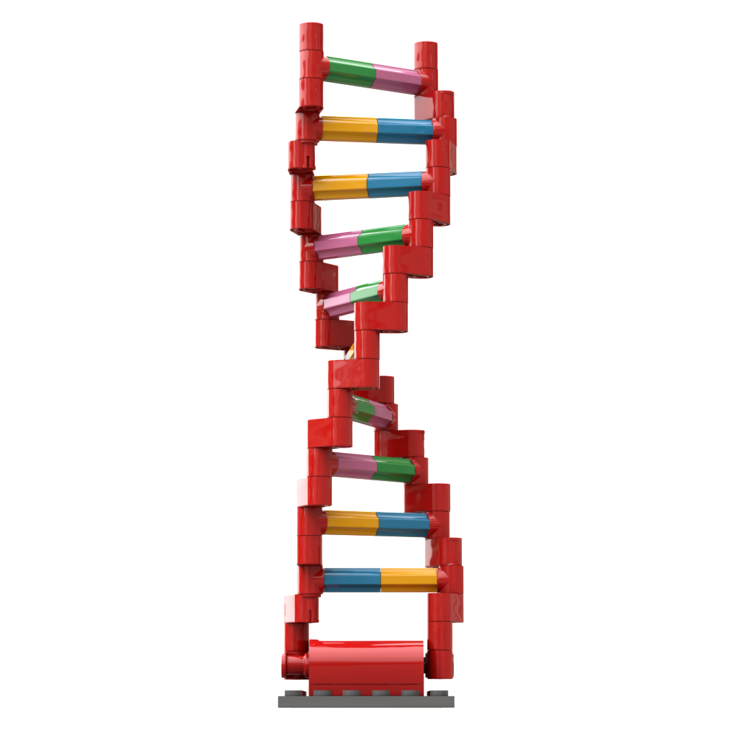 Brick-Built DNA Double Helix with Light Brick - Image 6