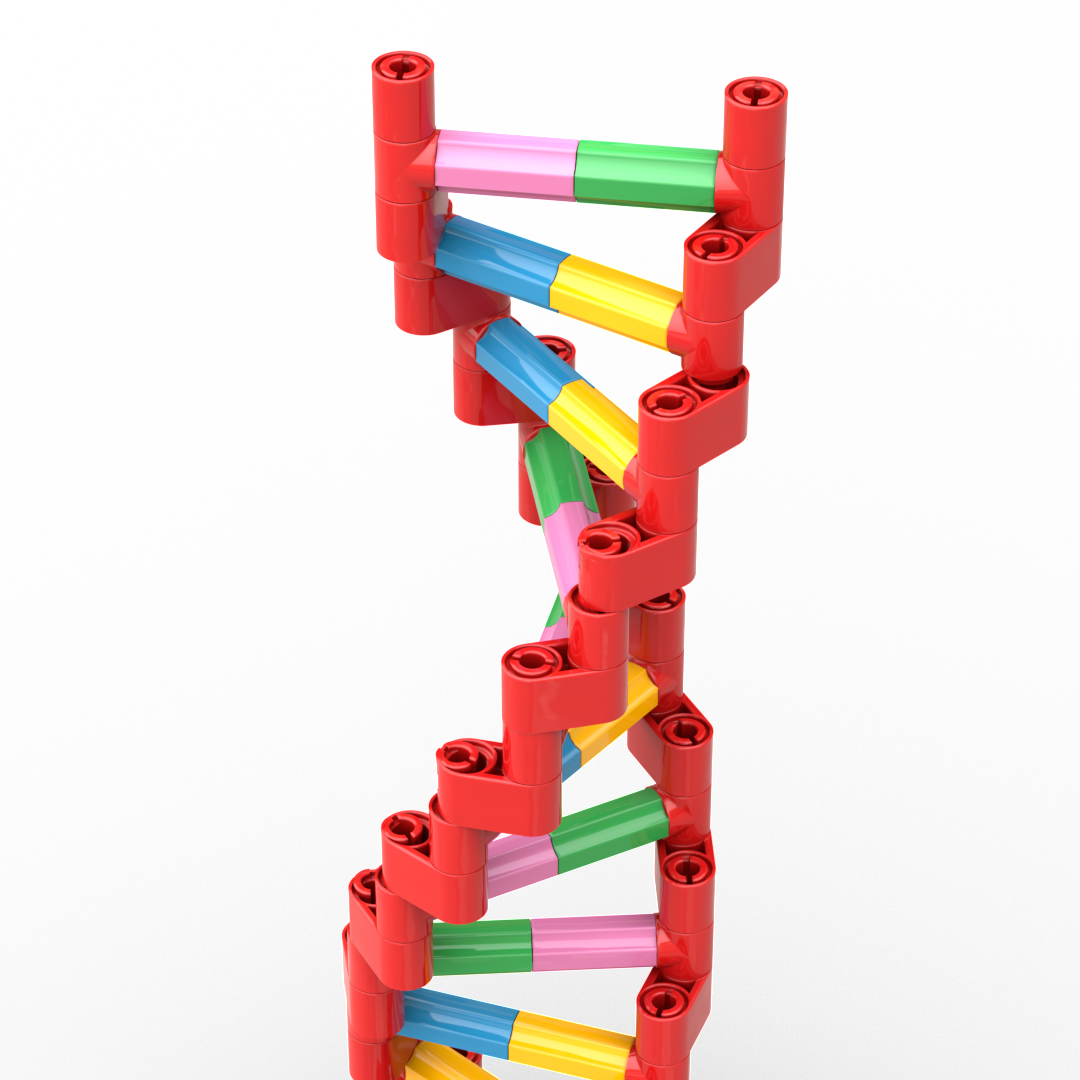 Brick-Built DNA Double Helix with Light Brick - Image 5