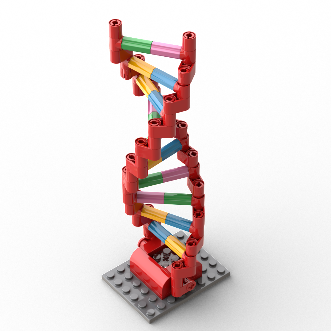 Brick-Built DNA Double Helix with Light Brick - Image 4