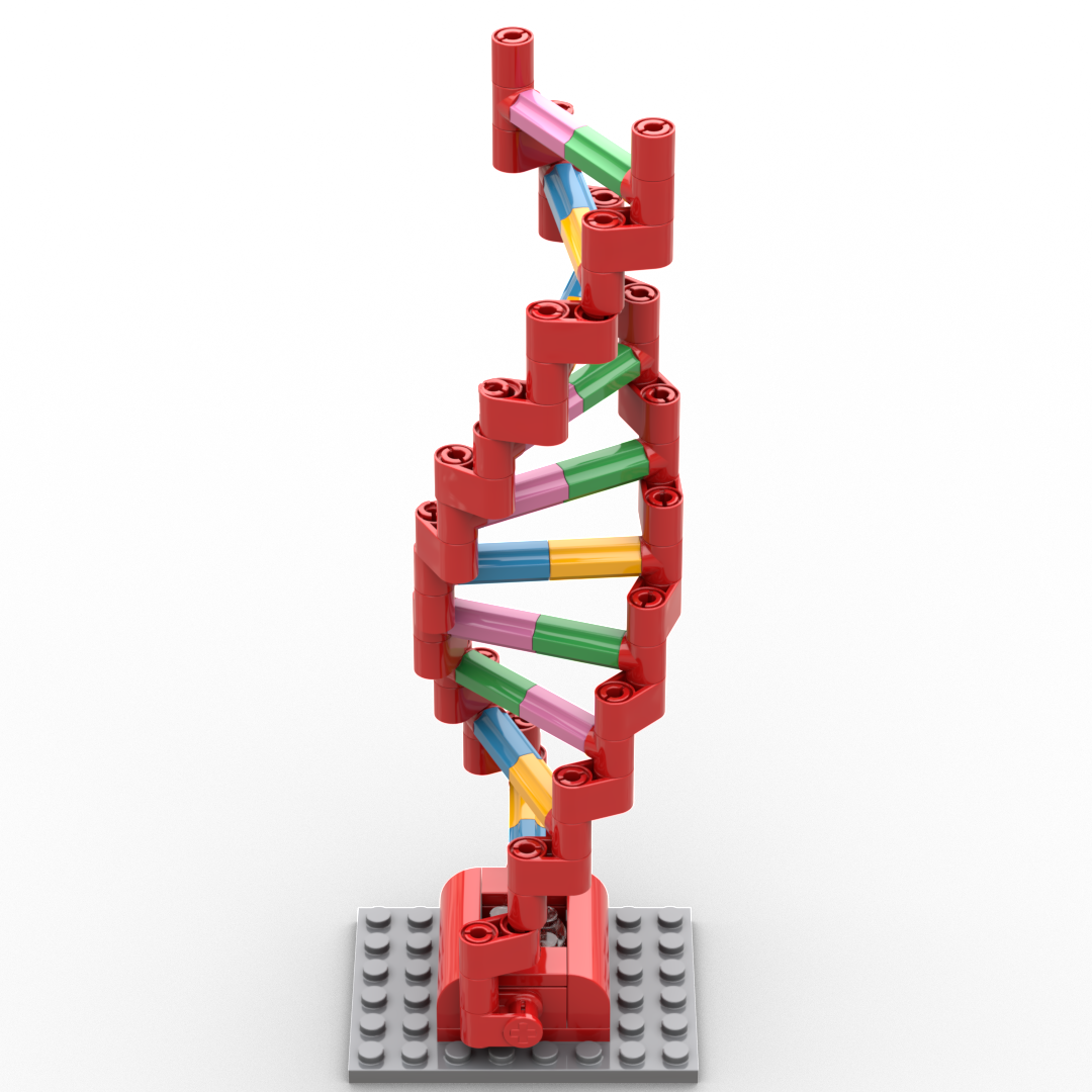 Brick-Built DNA Double Helix with Light Brick - Image 2